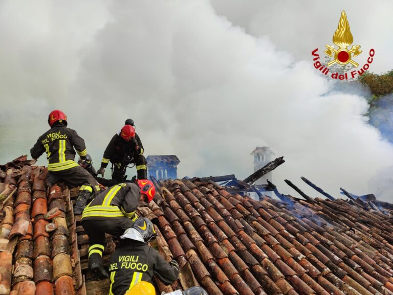 054ec939-9a04-4004-bed8-52738333ade6