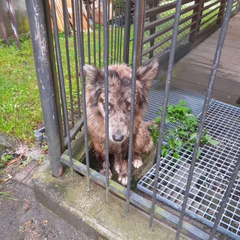 0f777ccb-70a5-409e-8e53-ea52a889edae