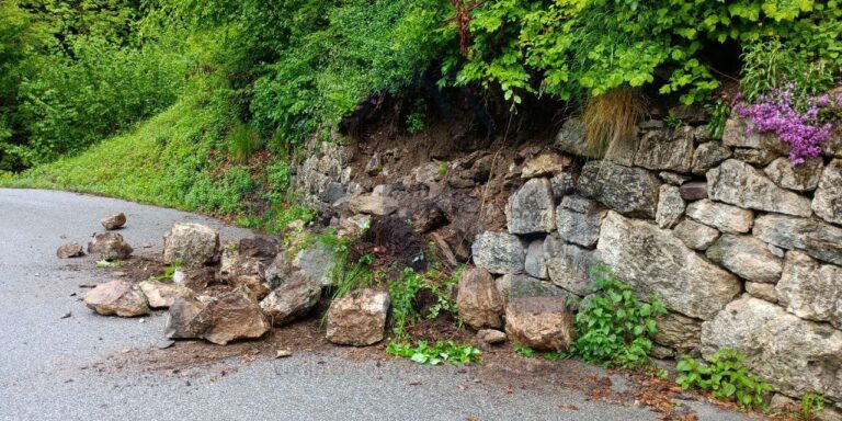 2023f016-5437-4eae-a3d9-882b8ddc7c67