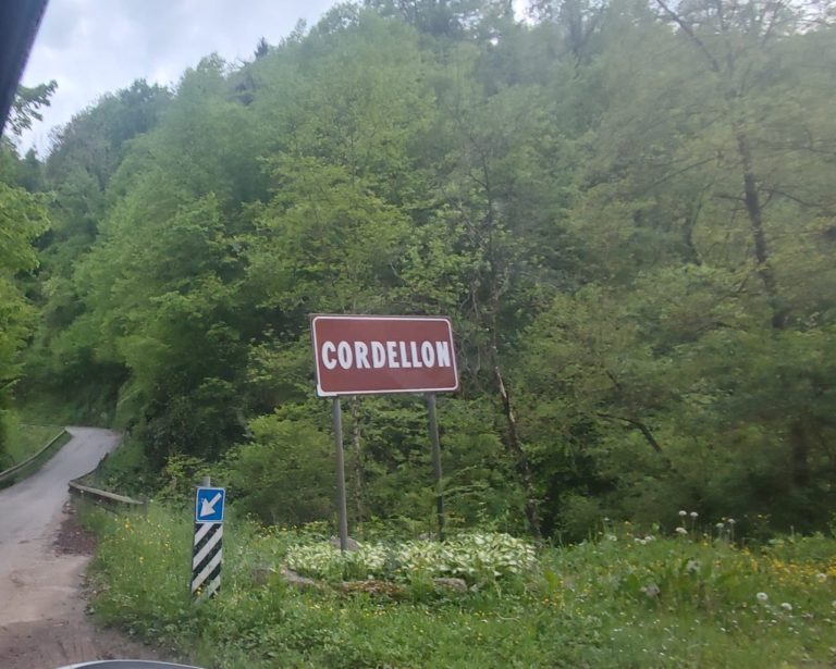 2ba710a7-be04-4cff-89c3-7aa89aec8946