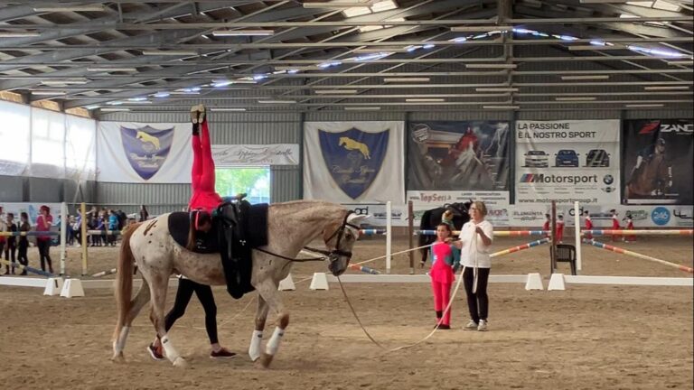 3cb72b14-f08e-472a-a1b7-408eeb96cd3d