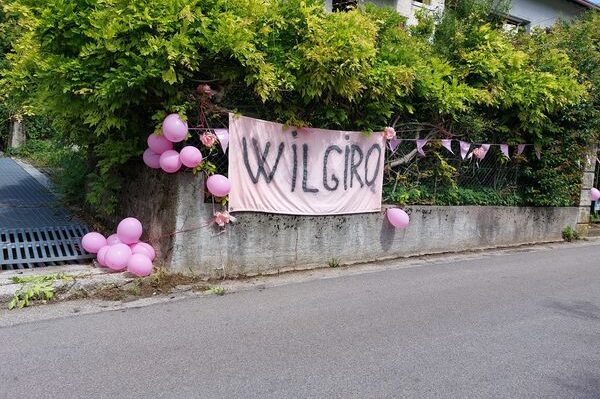 444136491_2146038492461608_4489051939777178585_n