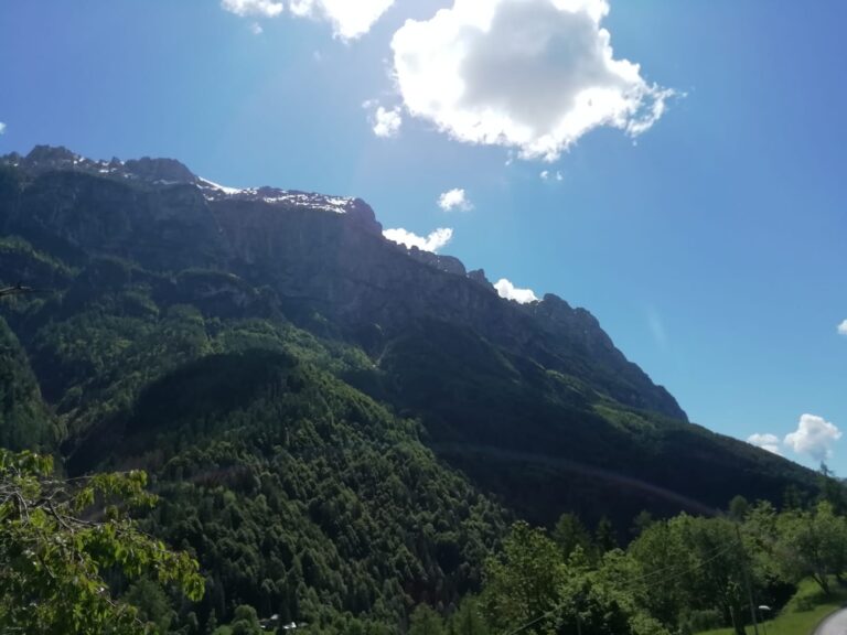 7735120c-0616-4e7e-97c9-5a2a471a326e