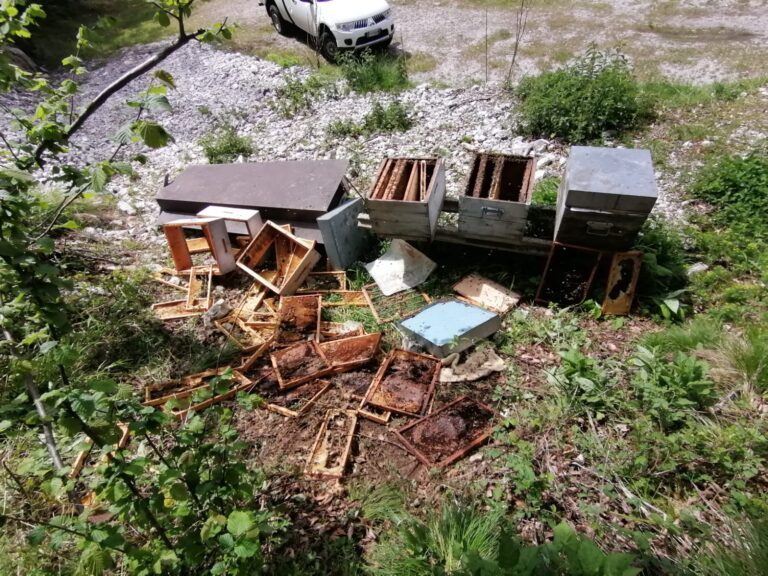 PHOTO-2024-05-18-14-08-28