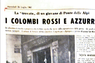 Senza nome
