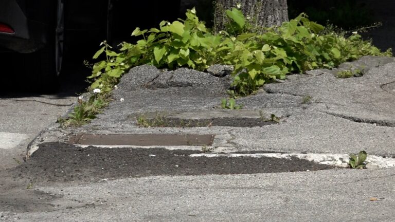 ac78d879-aeba-4c14-9c22-db2e4aaea9a1