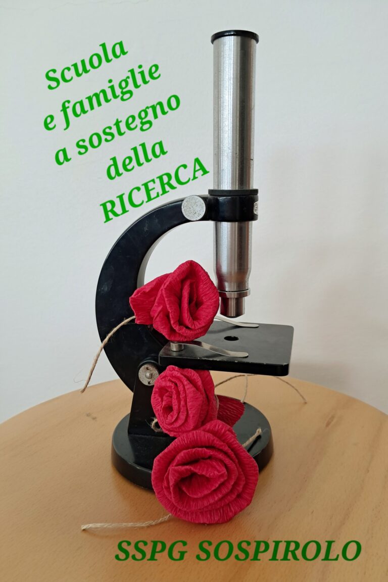 azalee ricerca Sospirolo