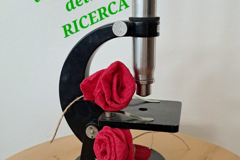 azalee ricerca Sospirolo