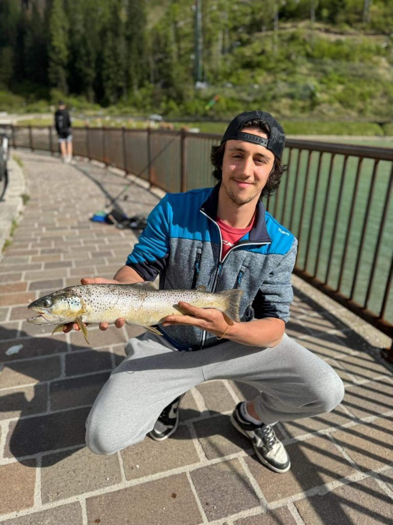 b7382aa7-57a1-4029-859d-cf616ba4f5a1