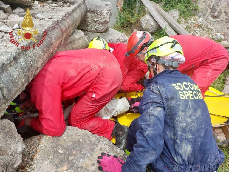 be127b82-3508-4a5b-af9c-ae294664113d