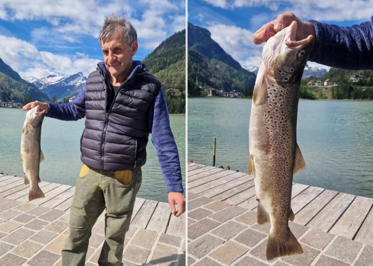 bf854761-35e7-4900-aec5-347792a9a368