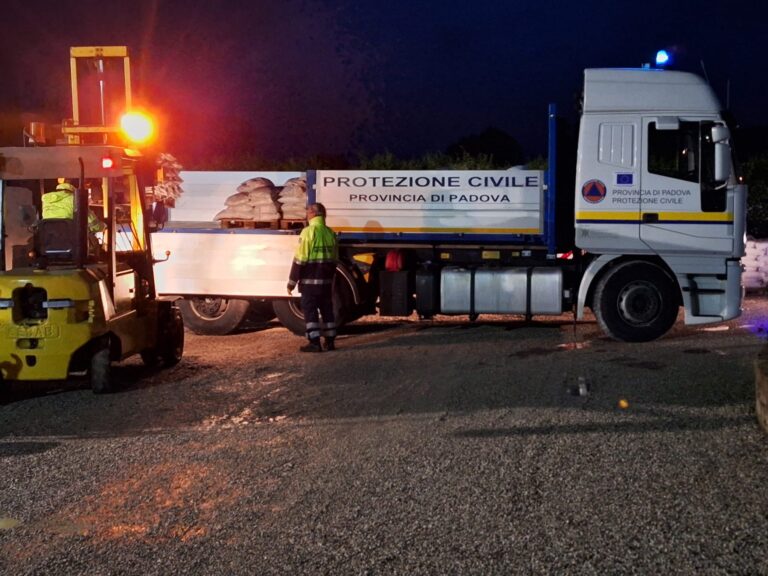 d5471ef4-4bb8-4503-b583-da4f99574fef