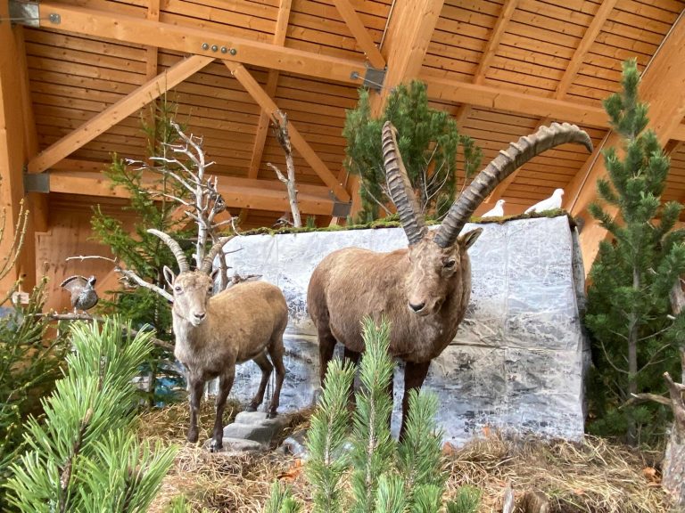 f38038f1-f7ca-4a21-954b-32c0126c7d10