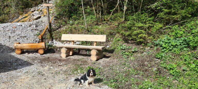 ffd95a9b-5ffa-4229-9166-7e5e61dd856b