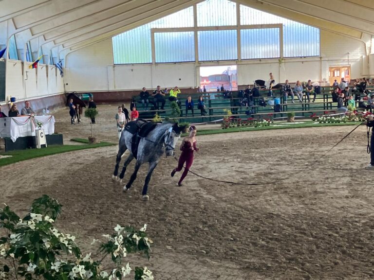 5d890d1e-b1b0-4f94-9d6d-4bf6e57cb4d2