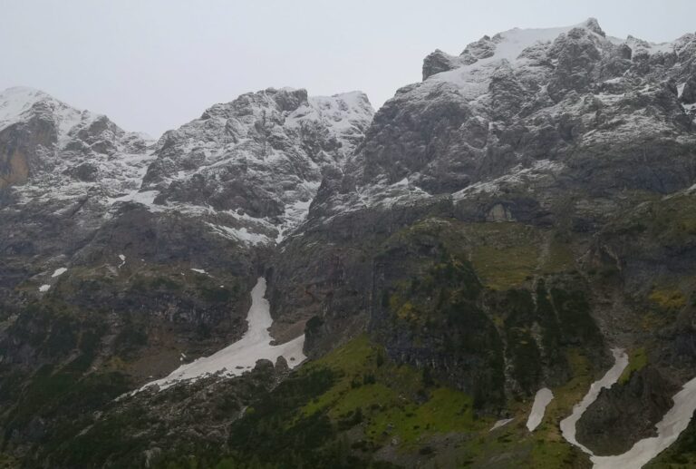 7d49293e-9c60-4828-97b7-e002fec095be