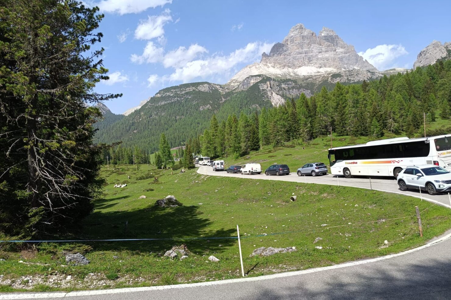 81dc5405-decf-48ee-891c-68cc6bc34152