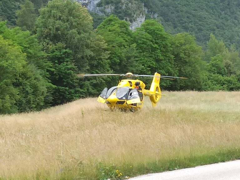 98d4ad86-0bd6-4a86-b854-190ece4461b4