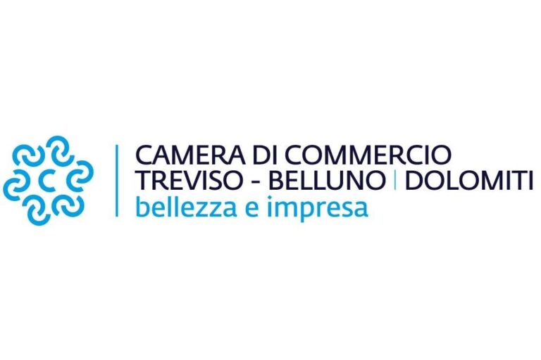 CAMERA COMMERCIO