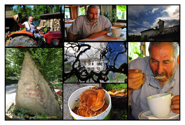 Giuliano Viel – Al Borgo – Belluno copia copia