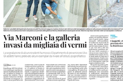 Senza nome