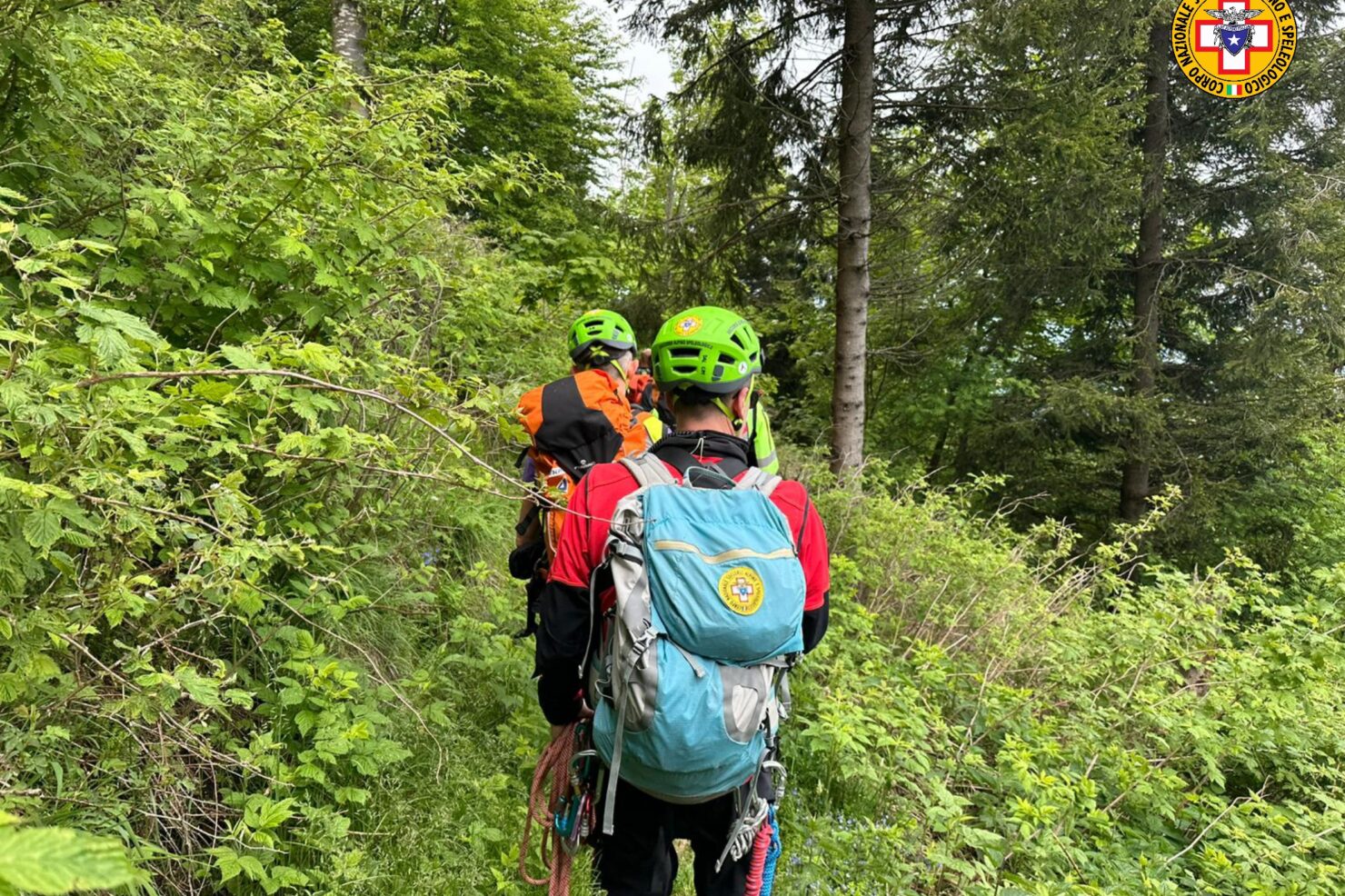 Watermark_20240602_163655_958