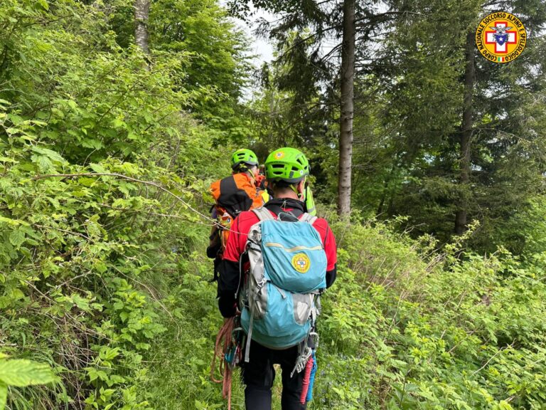 Watermark_20240602_163655_958