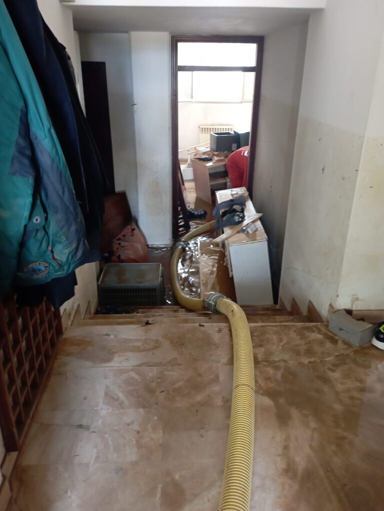 WhatsApp Image 2024-06-26 at 16.53.27-2