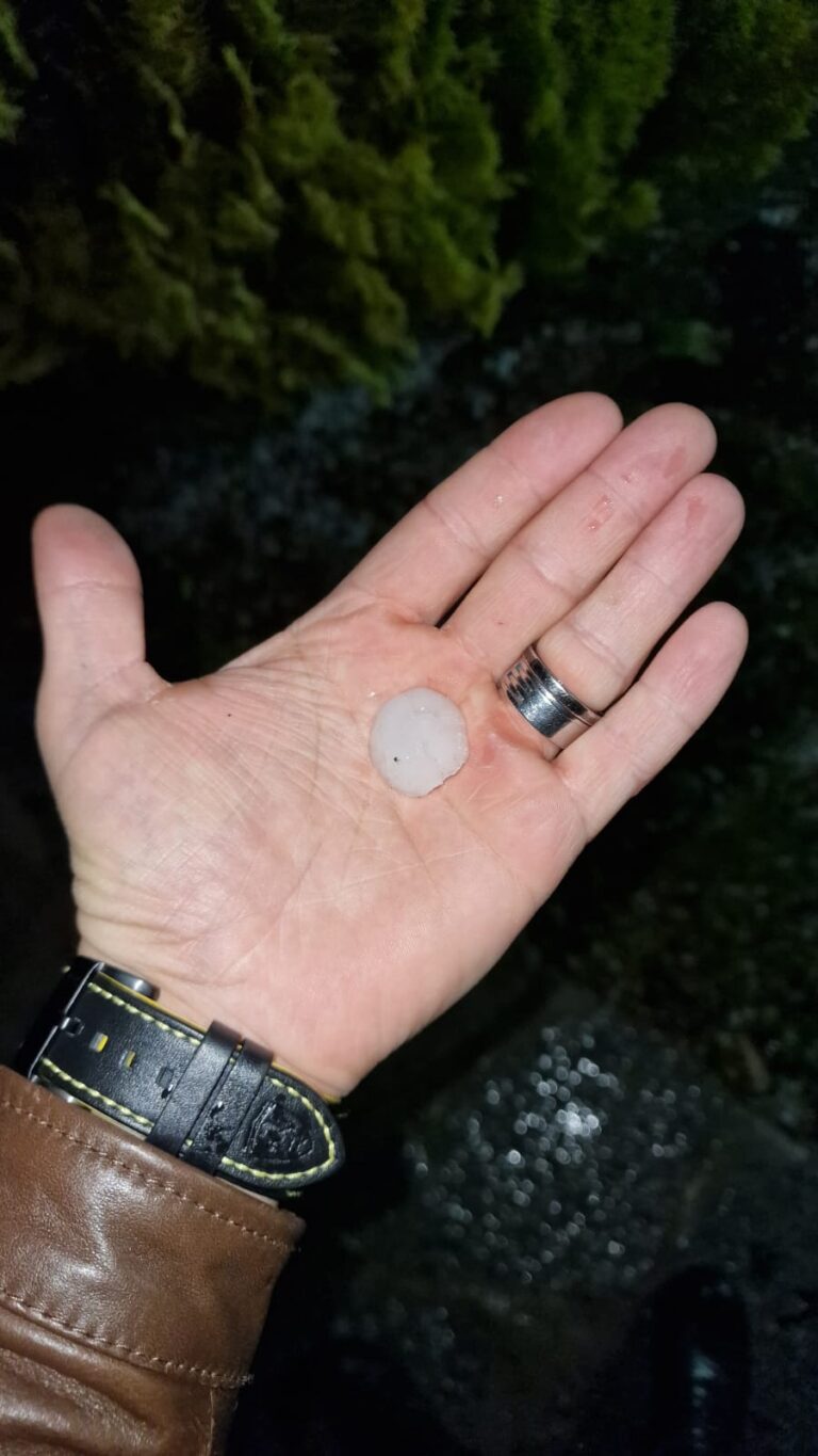 b092b89a-f281-4b37-86bb-c9f538e239b7