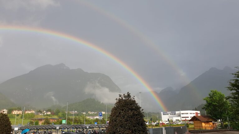 d91a02d1-54dd-4c26-b806-02466ac27cf5