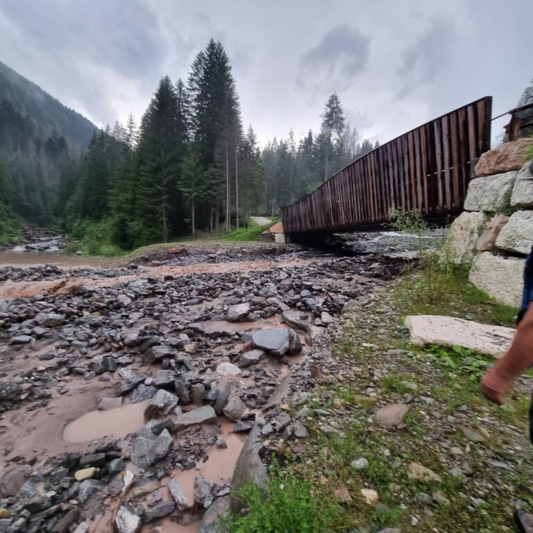 2613ee20-5959-4cfc-94f8-d496b8686f20