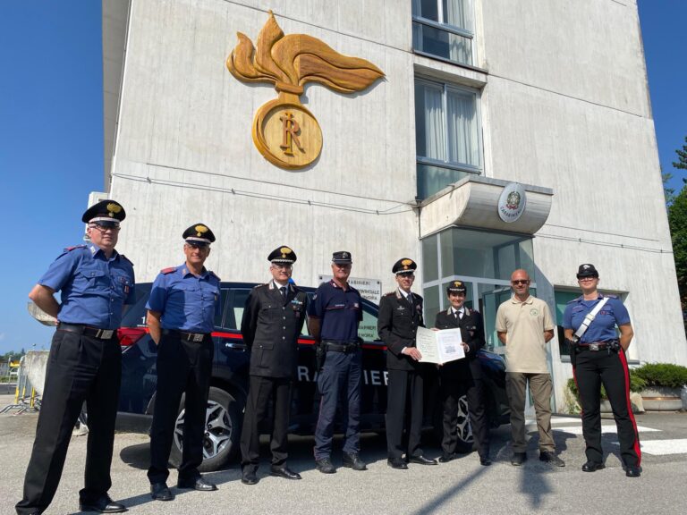 29e9f700-cab7-471f-814d-e19a38fd9620