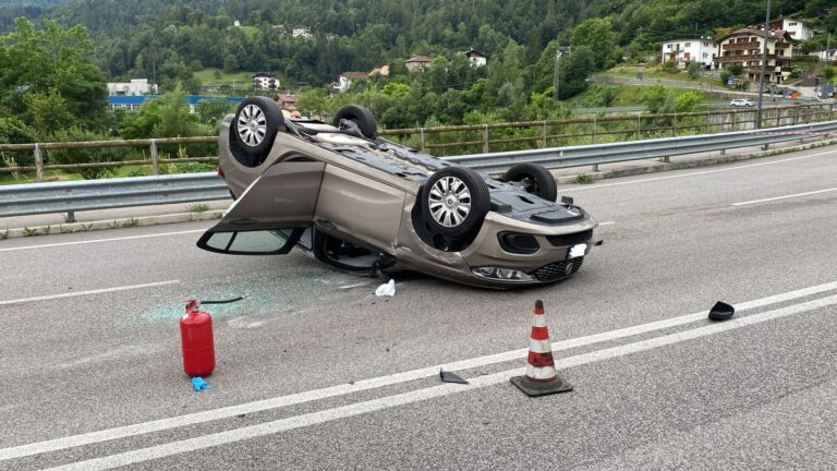 2b9b8428-f393-4800-b8db-e5d1dfb3e33c