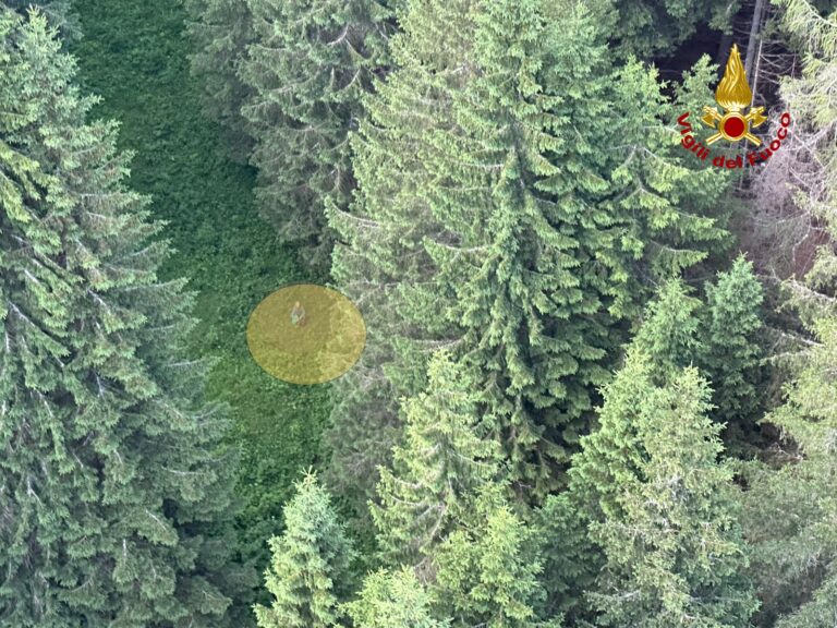 3b6632b7-1bf4-4bef-bb6c-b8e9af0d999e