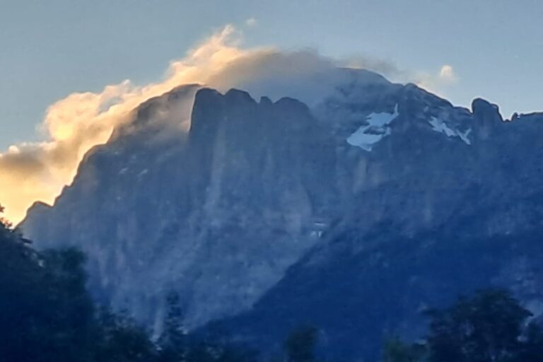 CIVETTA DA CANALE
