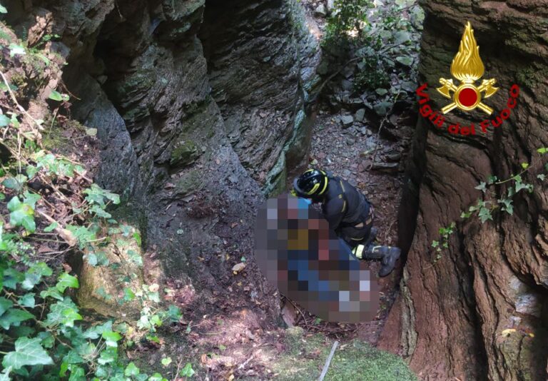 50938221-b731-46a9-8076-8845c4cb9490