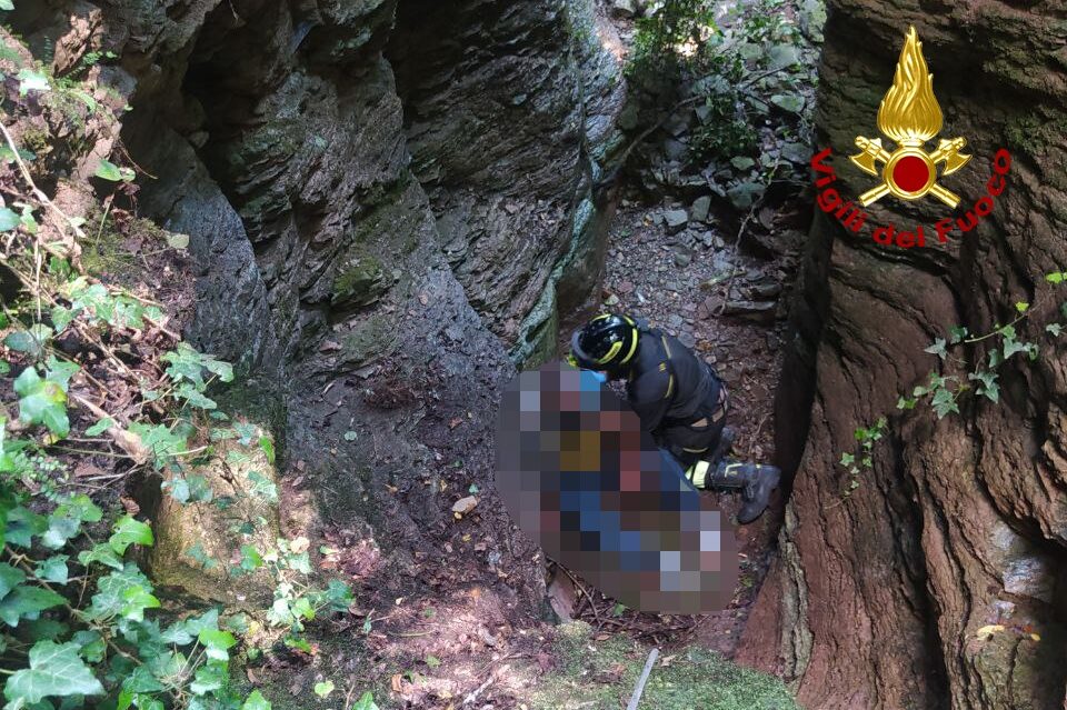 50938221-b731-46a9-8076-8845c4cb9490