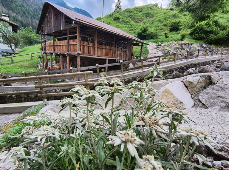 6fb0e9df-e499-4871-88d6-ed2450611d09