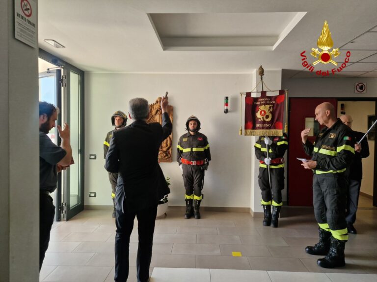 72062643-21fa-4262-a57c-7d5ffa992f9a