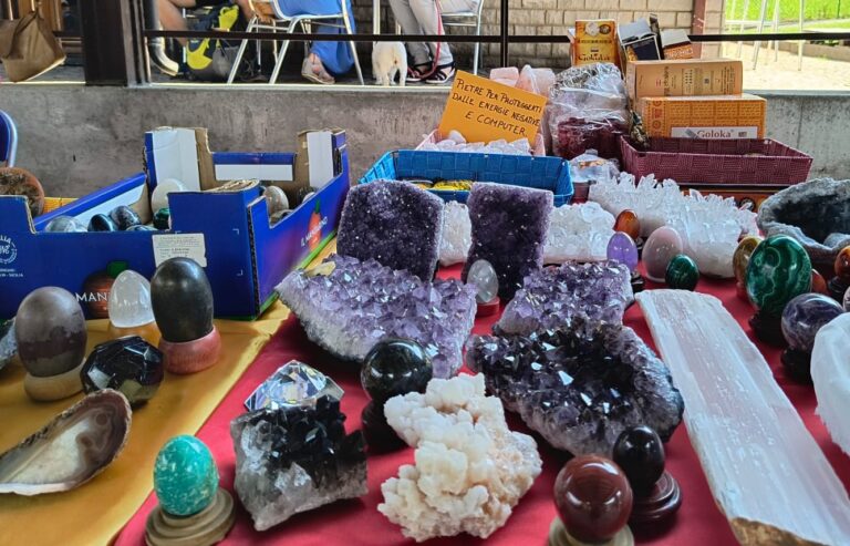 8bfbb159-9795-4441-9bf1-3b9e497a7bbe