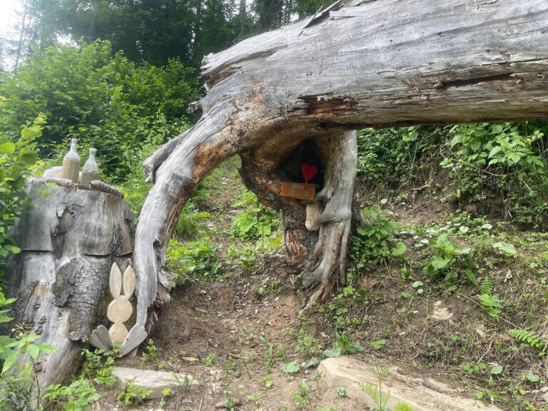 93f05dfe-a849-4472-9504-df74aa39b685