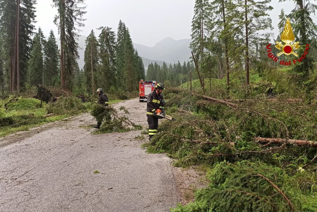 9b0ed2f5-0b5d-46a3-b4ed-669a32119092