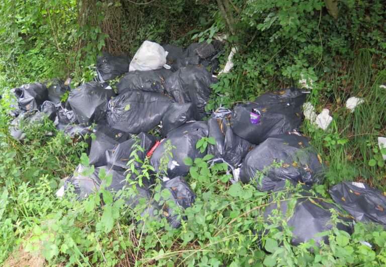 Cura ambientale sulla 203 (2) – Copia