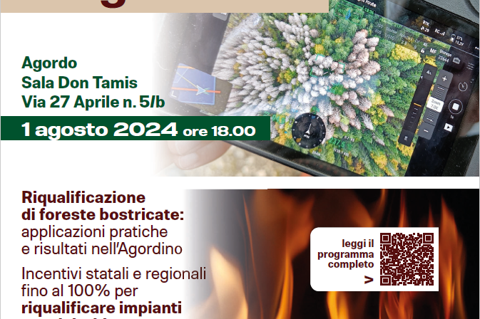 DIAMO VALORE AL LEGNO