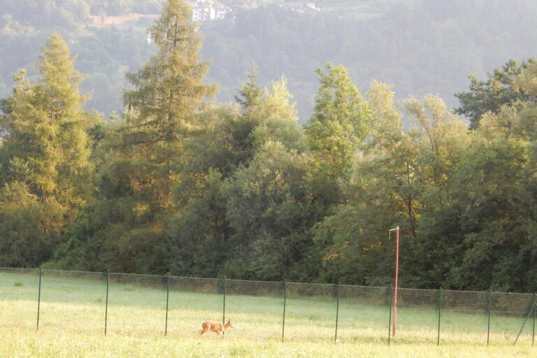 DSCN0716