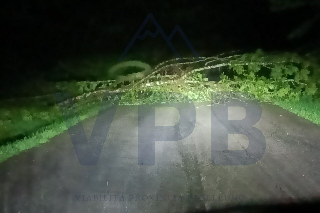SS