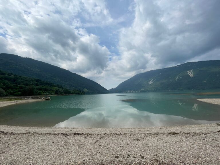 ab9d2f5f-9a76-47b5-8f48-56d9741216fa