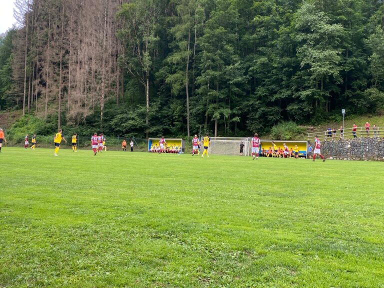 b5d44079-2bea-4f38-9ed7-453d5951a147