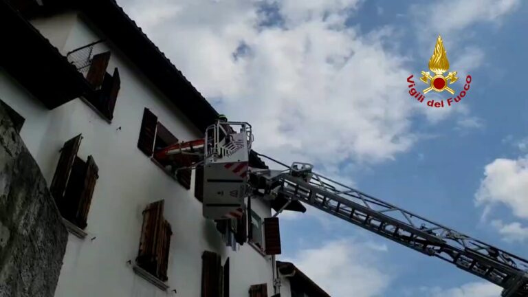 c38895db-cd96-42c8-837f-1f4cd16b485e