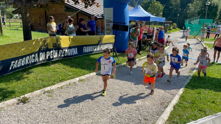 c45d395e-6790-45a6-916b-28f7021a0f16